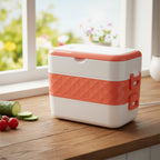 Compact lunch box with electric power connection and locking lid