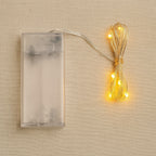 Copper wire string fairy lights with warm white 30 LED bulbs glowing beautifully.