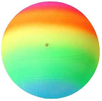 Group of children playing with the multi-colored Kids Beach Ball on a sunny day.