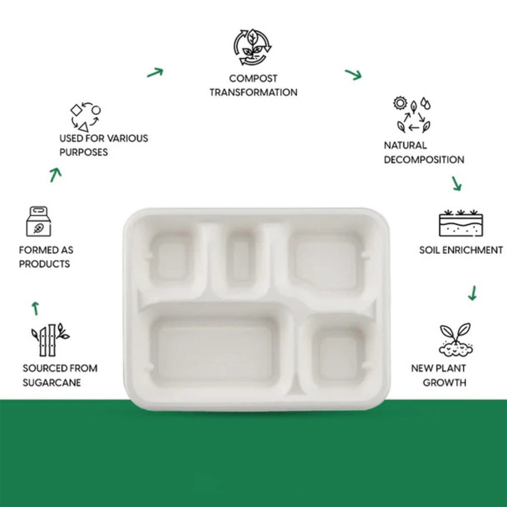 Stacked compostable 5-compartment lunch plates designed for easy storage