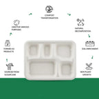 Stacked compostable 5-compartment lunch plates designed for easy storage